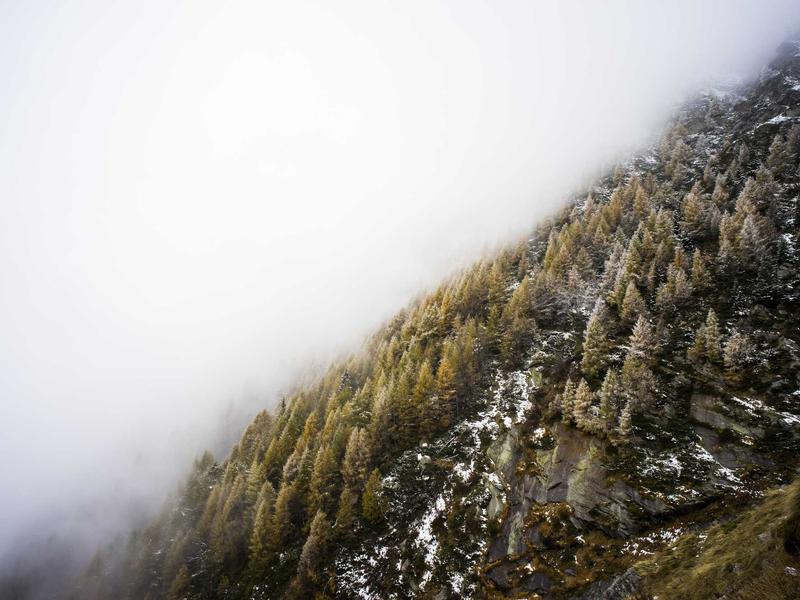 Khoai lang sấy giòn Đà Lạt