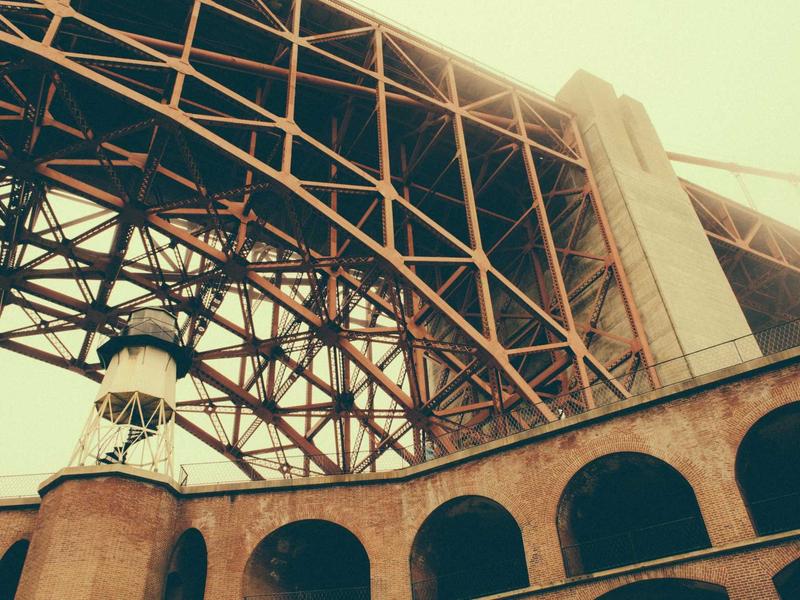 Lan cattleya Đà Lạt