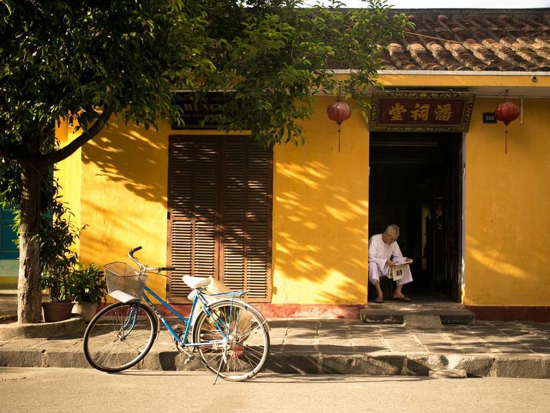 Hoa pen hồng Đà Lạt