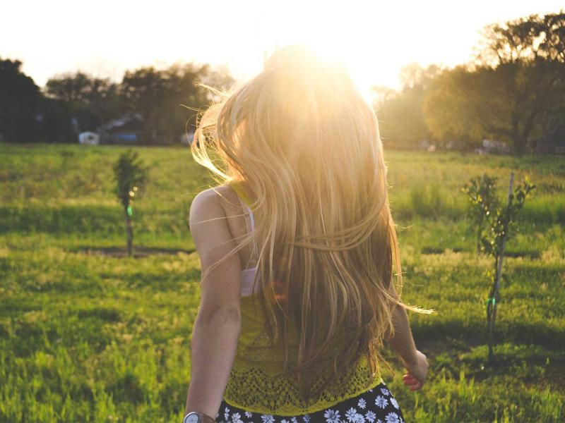 Hoa bất tử hồng Đà Lạt