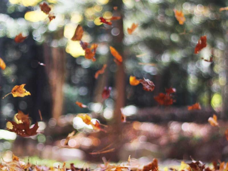 Cà phê single origin Đức Trọng